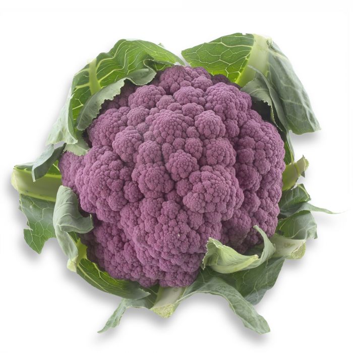Chou Fleur Violet Bio, origine France, 1 pièce (Calibre Moyen)