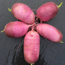 Radis Bio, Variété pink meat d'Hiver, origine France, 250 gr