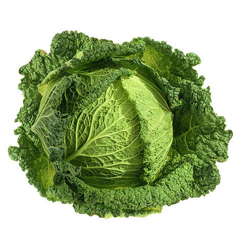Chou Vert Frisé Bio, origine France, la pièce