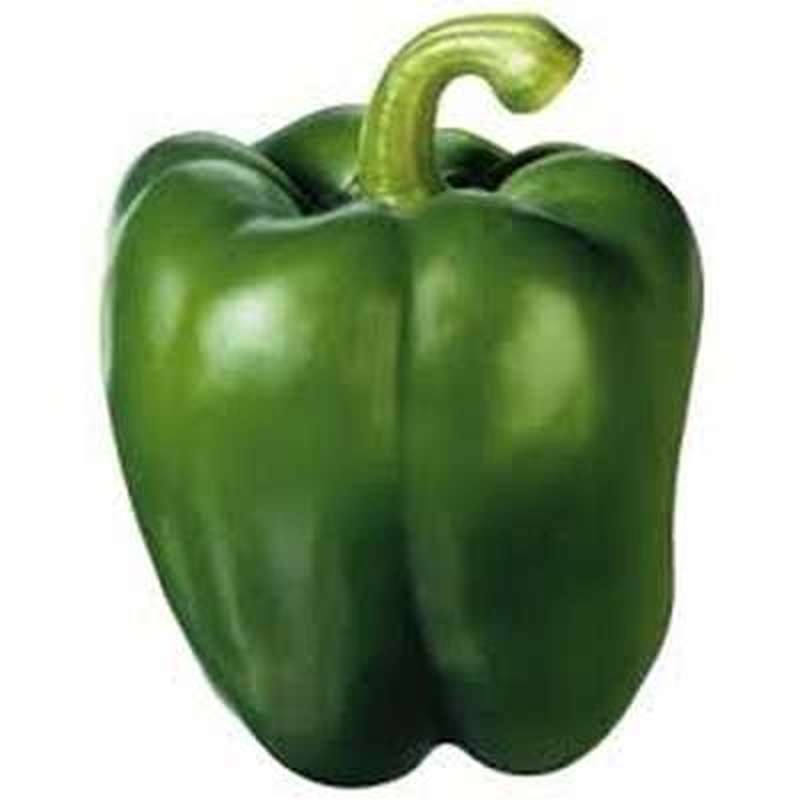 Poivron Vert Bio, origine France, 500 gr