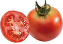 Tomate Bio, variété Anciènne, Saint-Pierre, Origine Alsace, 500 gr