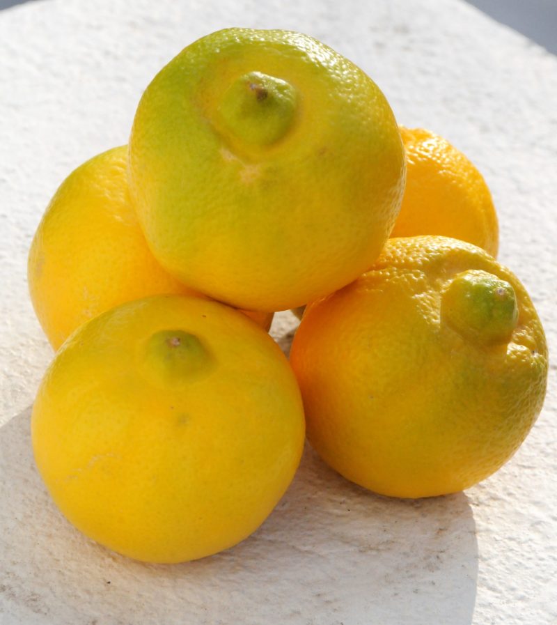 Citron Bergamote Bio, origine Italie, 500 gr