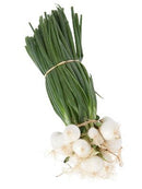 Oignon Blanc botte Bio, origine Alsace, 1 pièce