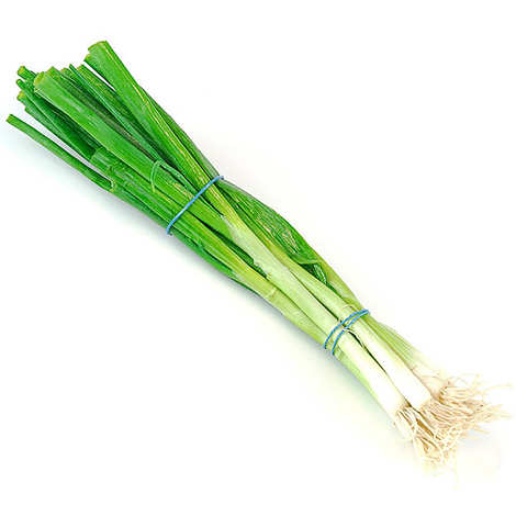 Oignon Cebette botte BIO, origine France, 1 pièce