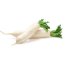 Radis Blanc Bio, origine France , 500g