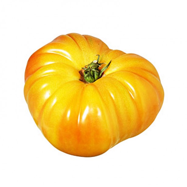 Tomate Bio, variété Côtelée Jaune, origine France , 500 gr