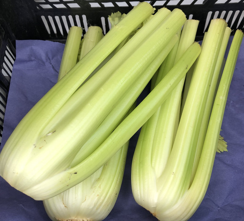 Céleri Vert Coupé, Origine France, 1 pièce