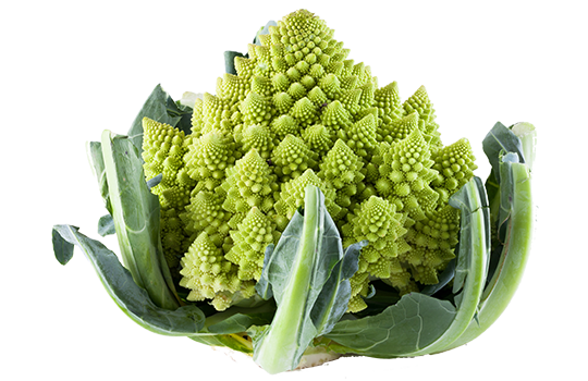 Chou Romanesco Bio, origine France , 1 pièce