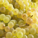 Raisin Blanc Bio, variété Chasselas, Origine France 500g