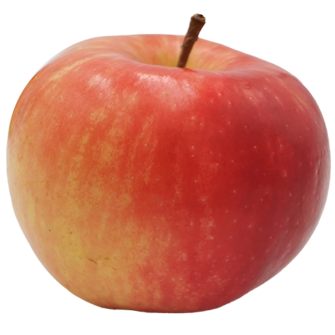 Pomme Bio, variété Elstar , origine Alsace, 1 Kg