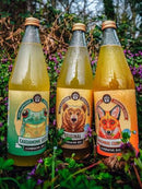 Kombucha Bio Gingembre-Curcuma, 75cl, R-Kombucha origine Alsace