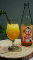 Kombucha Bio Gingembre-Curcuma, 75cl, R-Kombucha origine Alsace
