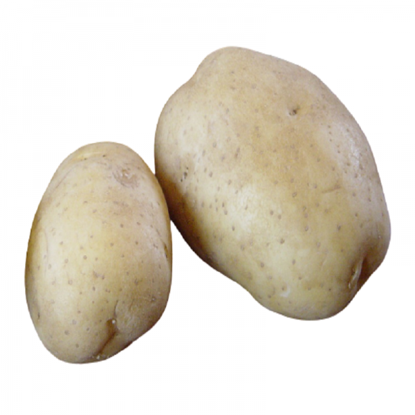 Pomme de Terre Bio, Variété Marabel (Chair Tendre), origine France Alsace, 1 kg