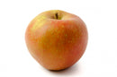 Pomme Bio, variété Akane, origine France, 1 kg