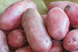 Pomme de Terre Rouge Bio, variété Laura, origine Alsace, 1 kg