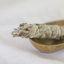 Sauge blanche de Californie, Tierra zen