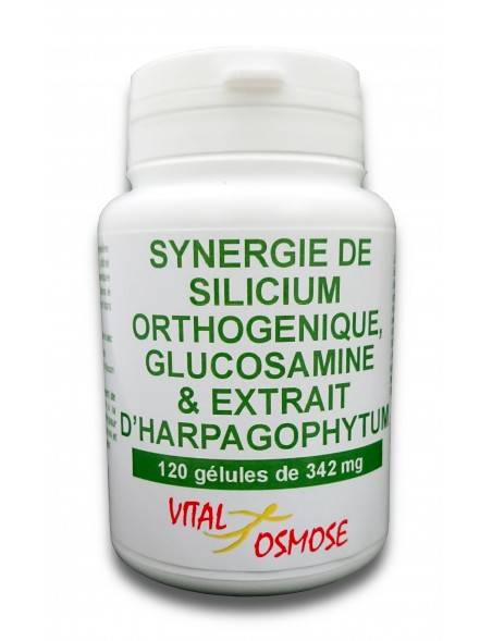 Synergie Orthogénique Articulaire , 60 gelules, Qualidiet