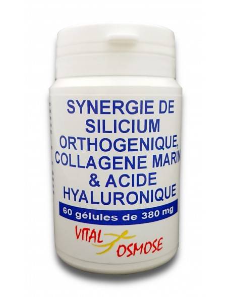 Synergie Orthogénique Souplesse des tissus, 60 gelules, Qualidiet