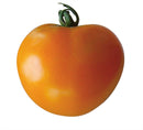 Tomate Bio, variété Orange Queen, Origine Alsace, 500 gr