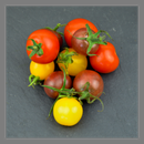 Tomate Cerise Mix Bio, origine Italie, 200 gr