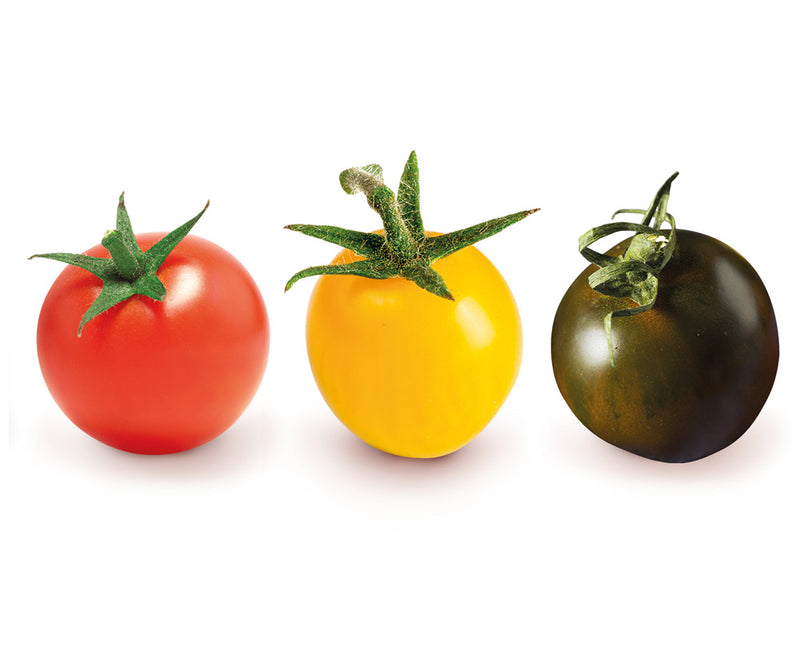 Tomate Cerise Mix Bio, origine Italie, 200 gr