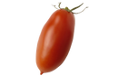 Tomate Bio, variété Anciènne, San Marzano, Origine France, 500 gr