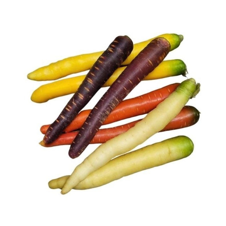 Carotte Bio multicolore , origine Alsace, 500 gr