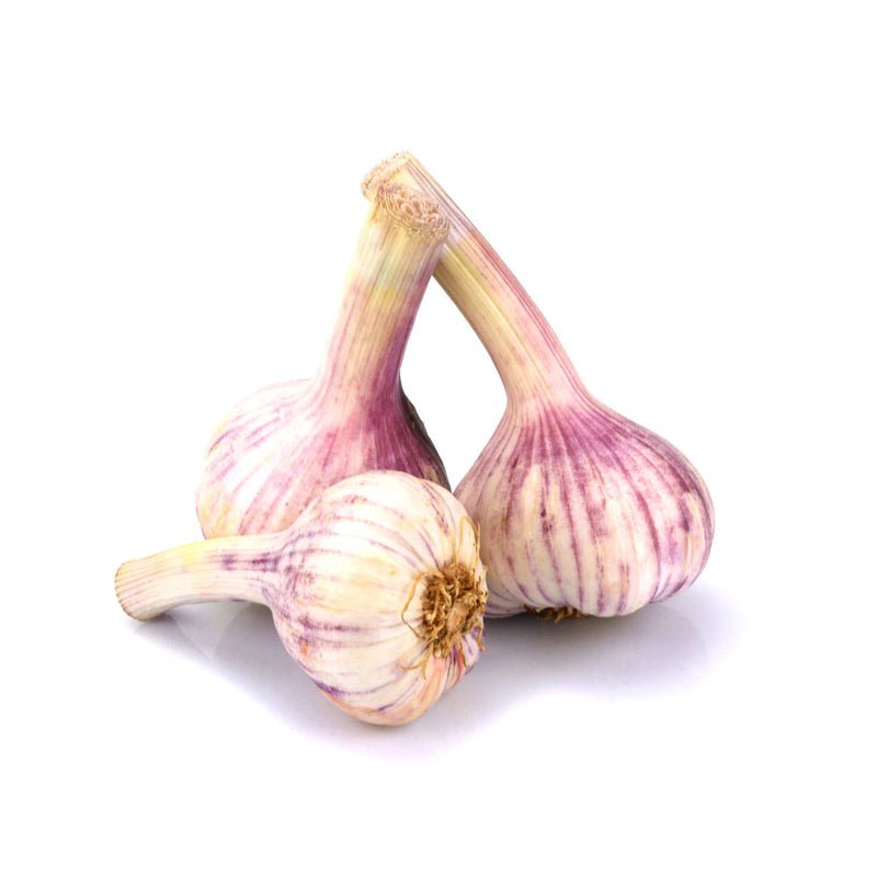 Ail blanc violet Bio , origine France Alsace, 250 gr