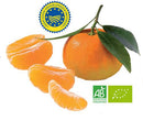 Clémentine Bio de Corse IGP, 500 G, origine France-Corse