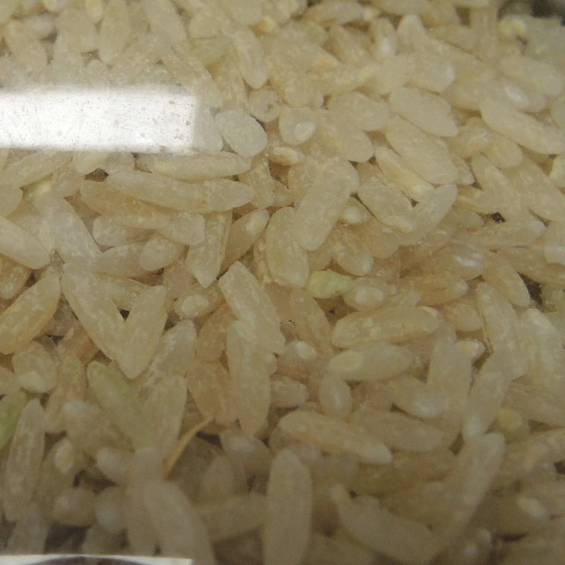 VRAC Riz thaï demi complet 500g