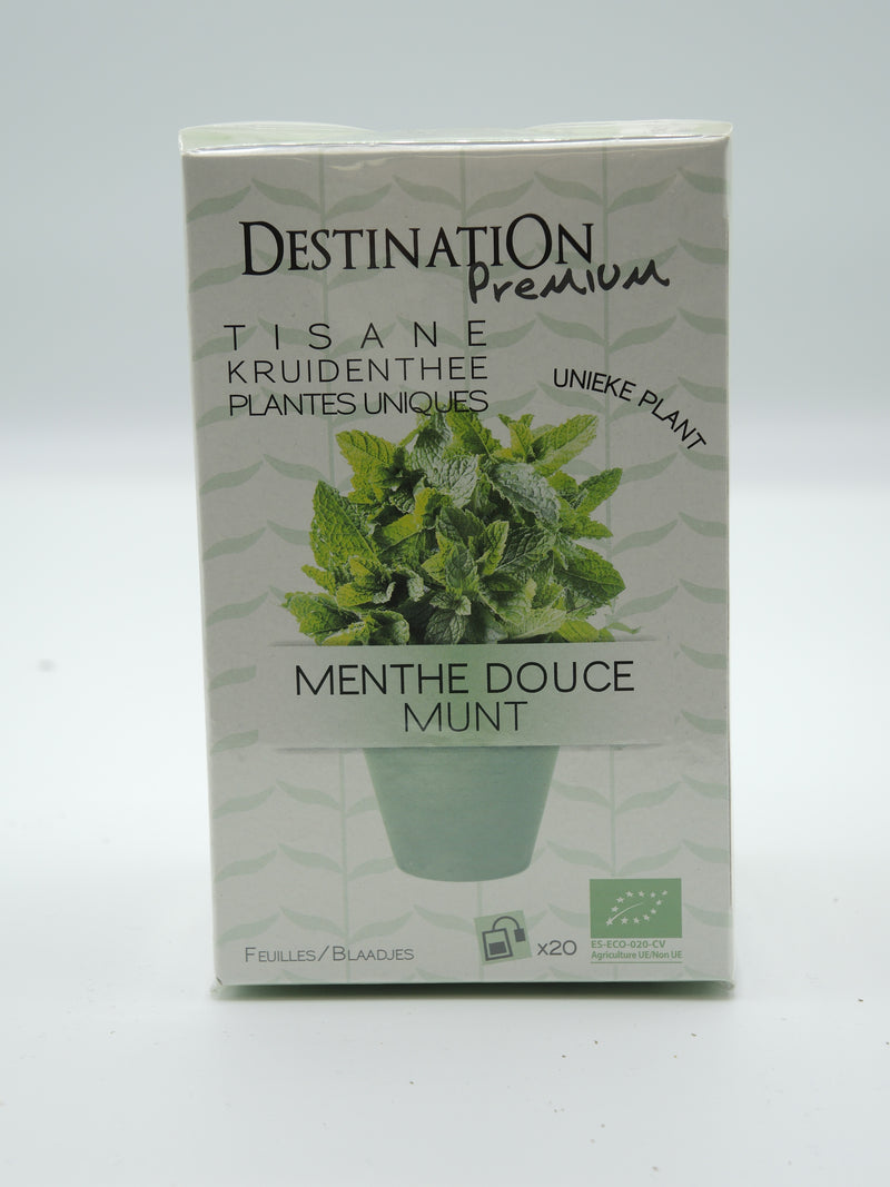 Infusion menthe douce, infusettes, Destination