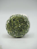 Chèvre Frais Fermier Bio au Lait Cru, Aromatisé à la Ciboulette du Bergenbach d'Alsace (Réf 489)