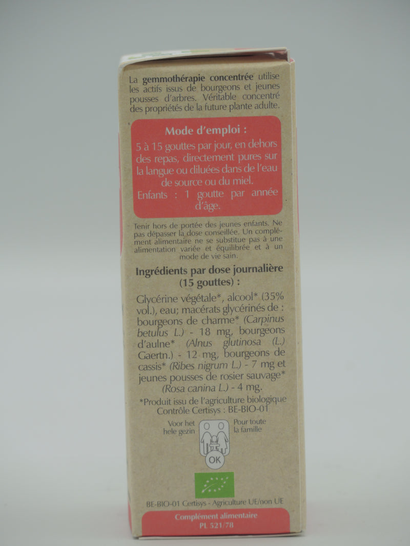 SINUGEM, voies respiratoires, Gemmothérapie concentrée, 50ml, Herbalgem