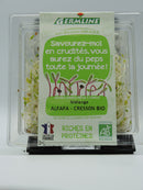 Graines germées, mélange alfalfa & cresson, 60g, Germline
