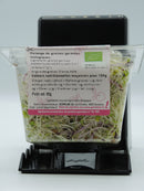 Graines germées, mélange alfalfa, radis & fenouil, 60g, Germline