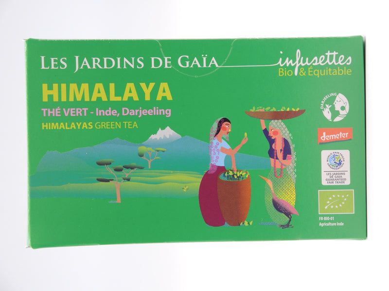 Thé vert bio Himalaya, infusettes, Jardins de Gaïa