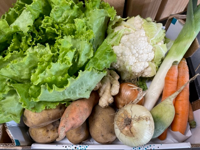 Panier de légumes, grand format, environ 5.6 kg