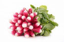Radis Bio, variété Rose à Bout Blanc, origine France, 1 botte