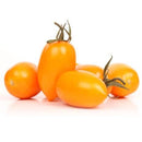 Tomate Bio, variété Olivine orange, origine France, 200 gr