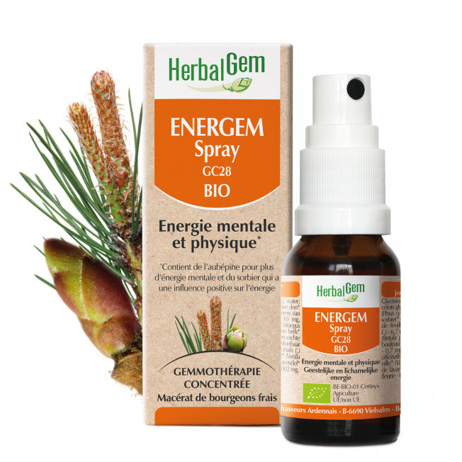 ENERGEM, énergie mentale & physique, Spray, 10 ml, Herbalgem