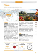 Vin Rouge Bio AOC Chinon Bib 3 Litres, Le Fruit des Vignes, Origine France