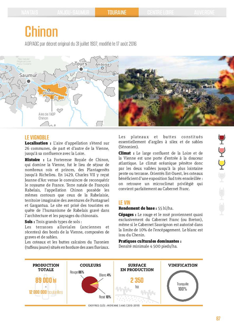Vin Rouge Bio AOC Chinon Bib 3 Litres, Le Fruit des Vignes, Origine France