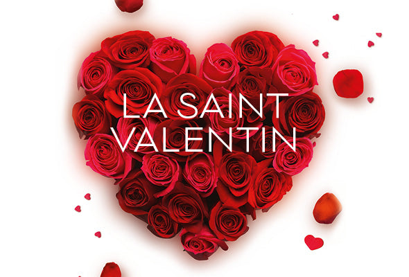 Vin Rouge Bio AOC Saint-Amour 2018, Cuvée Le Chatelet, Château de Lavernette