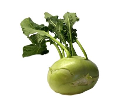 Chou Rave Vert Bio, origine France Alsace, 1 pièce