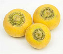 Navet Jaune Bio, variété boule d'or, origine Alsace , 250 gr