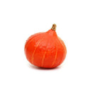 Courge Potimarron Orange Bio, origine Alsace, la pièce (environ 1.500kg)