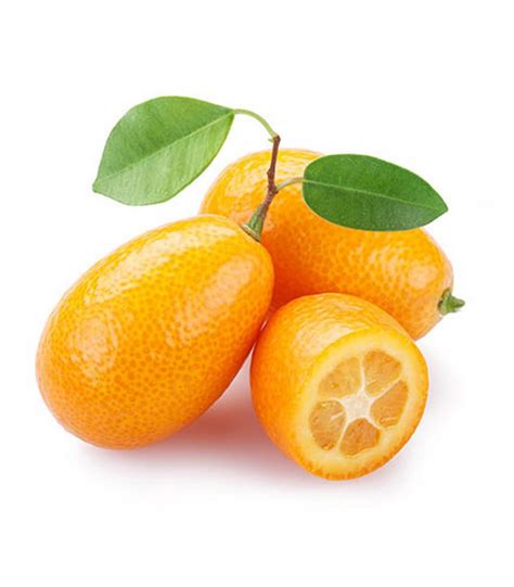 Kumquat Bio, origine France-Corse, 100 gr
