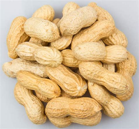 Cacahuète coque bio, origine Egypte, 250 gr